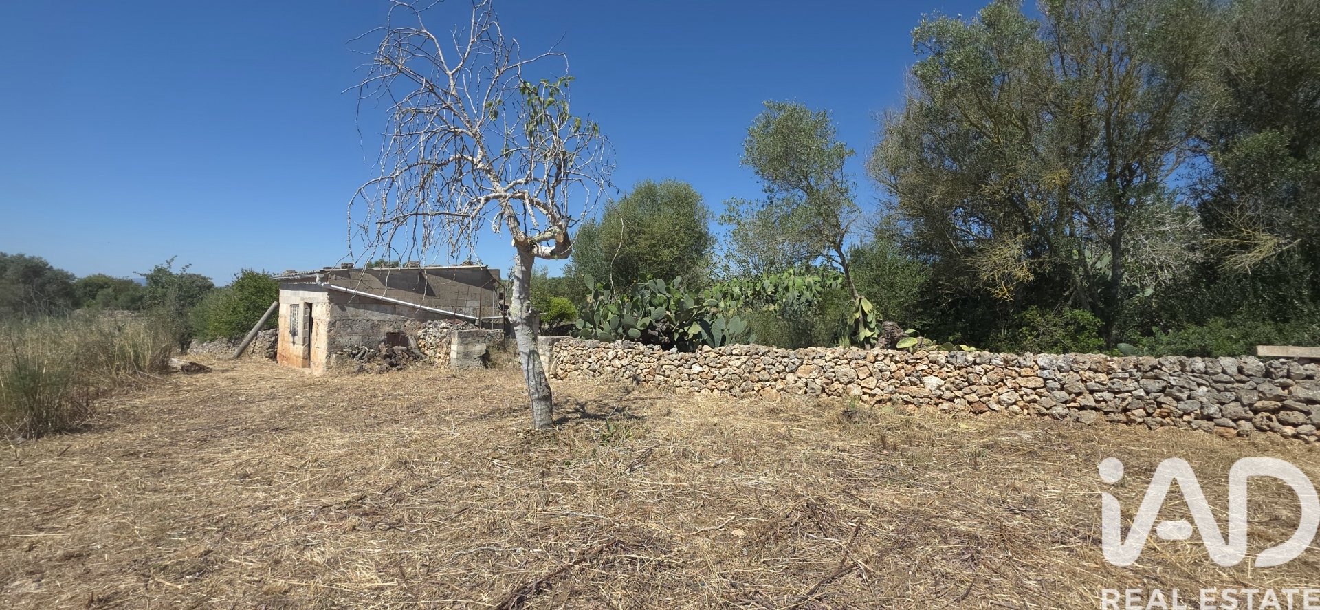 Tomt i Santa Margalida, Mallorca, Spanien 6160 kvm. Nr. 184668