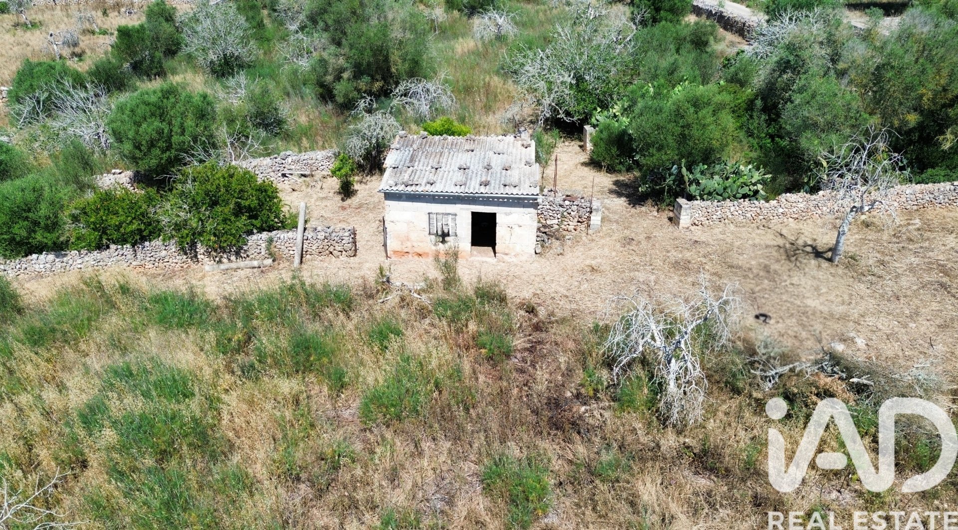 Tomt i Santa Margalida, Mallorca, Spanien 6160 kvm. Nr. 184668
