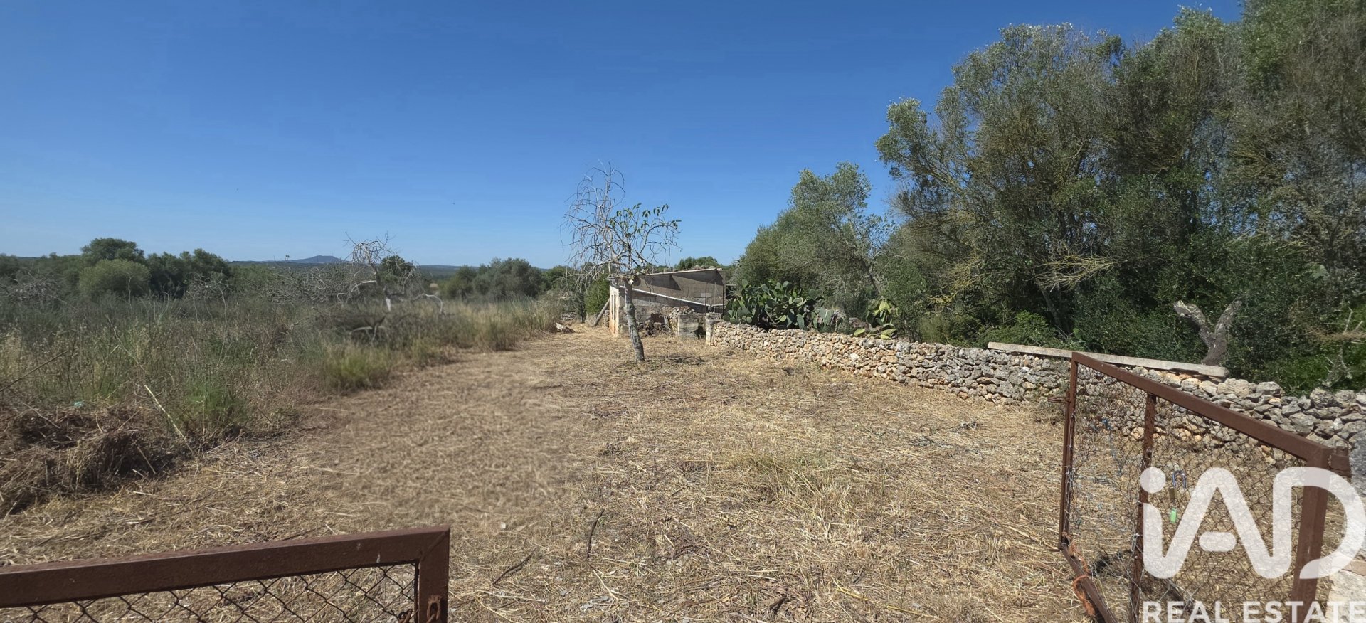 Tomt i Santa Margalida, Mallorca, Spanien 6160 kvm. Nr. 184668