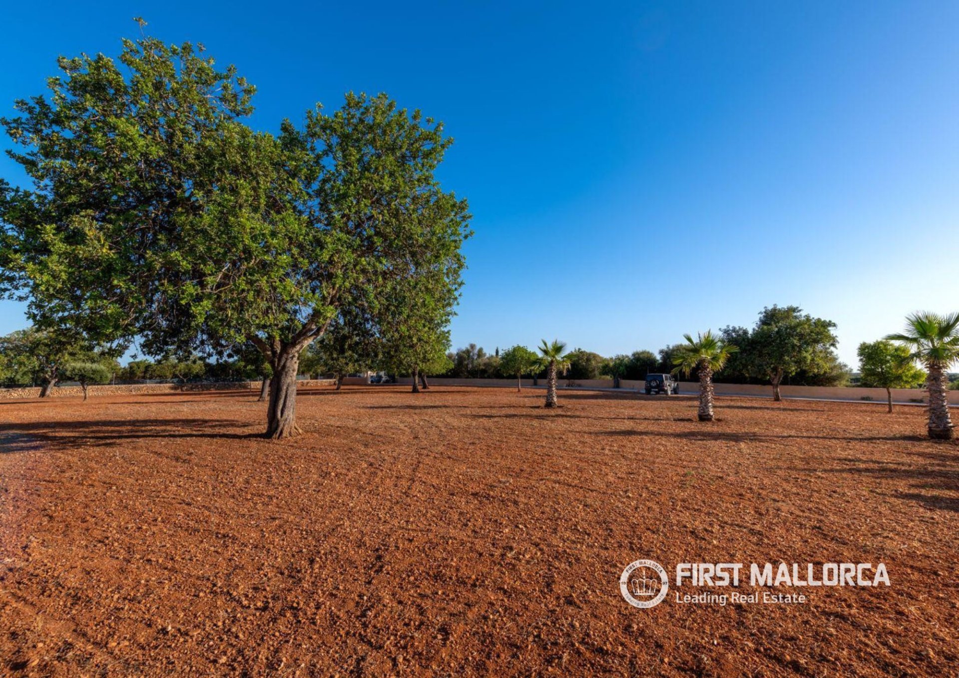 Finca in Llucmajor, Mallorca, Spain 4 bedrooms, 190 sq.m. No. 179414