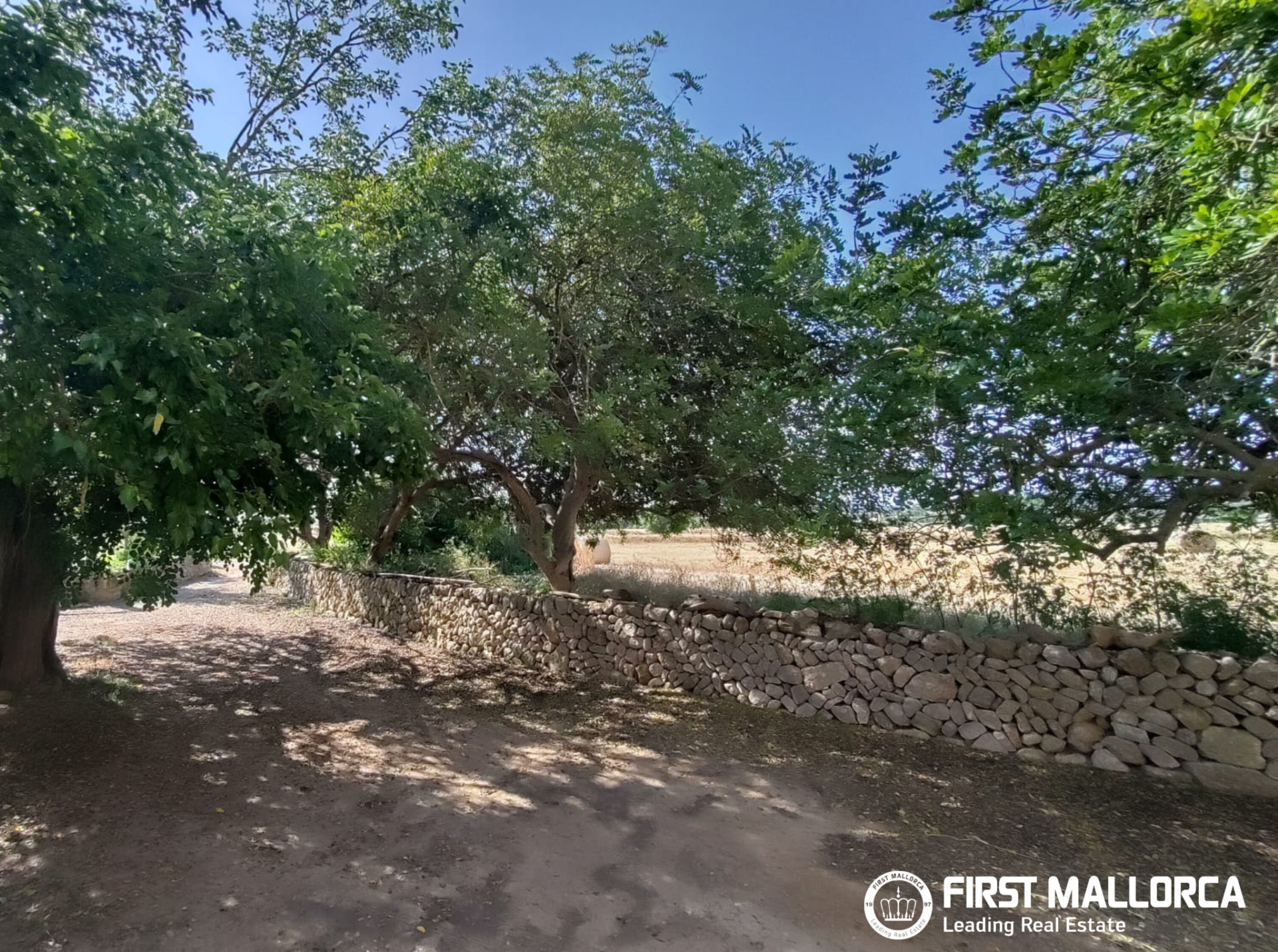 Finca in Algaida, Mallorca, Spanien 2 Schlafzimmer, 997 m2 Nr. 168904