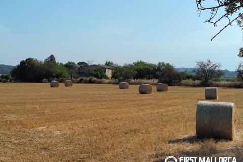 Finca in Algaida, Mallorca, Spain 2 bedrooms, 997 sq.m. No. 168904