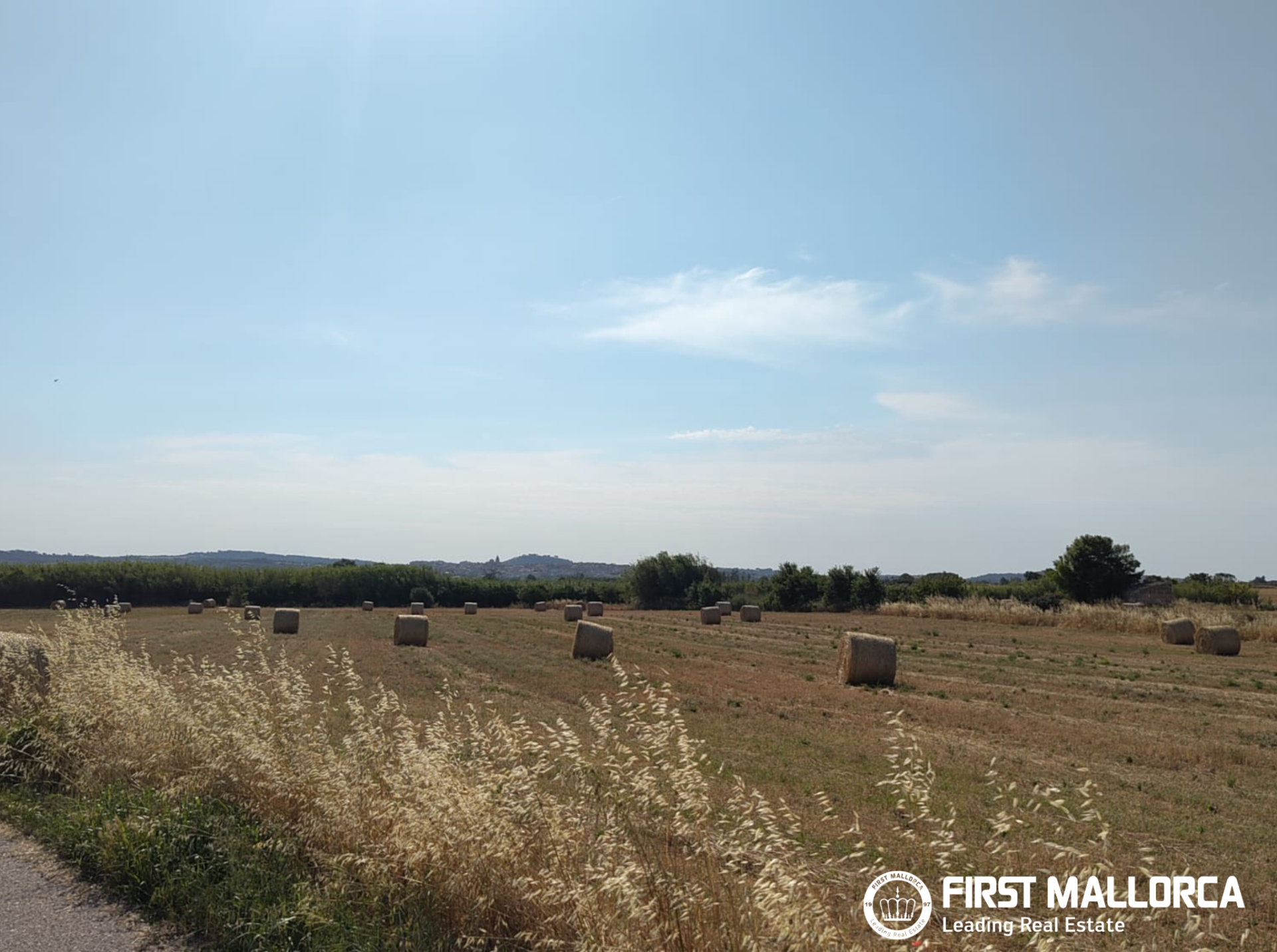 Finca in Algaida, Mallorca, Spanien 2 Schlafzimmer, 997 m2 Nr. 168904