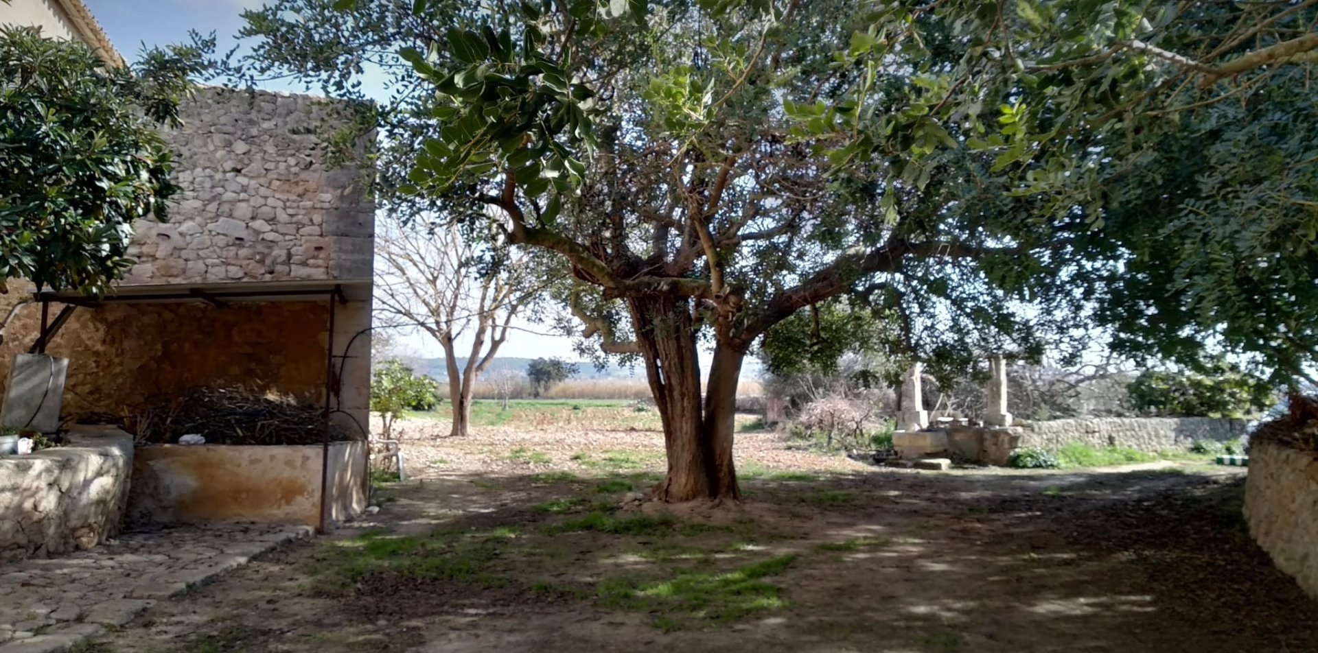 Finca in Algaida, Mallorca, Spanien 2 Schlafzimmer, 997 m2 Nr. 168904