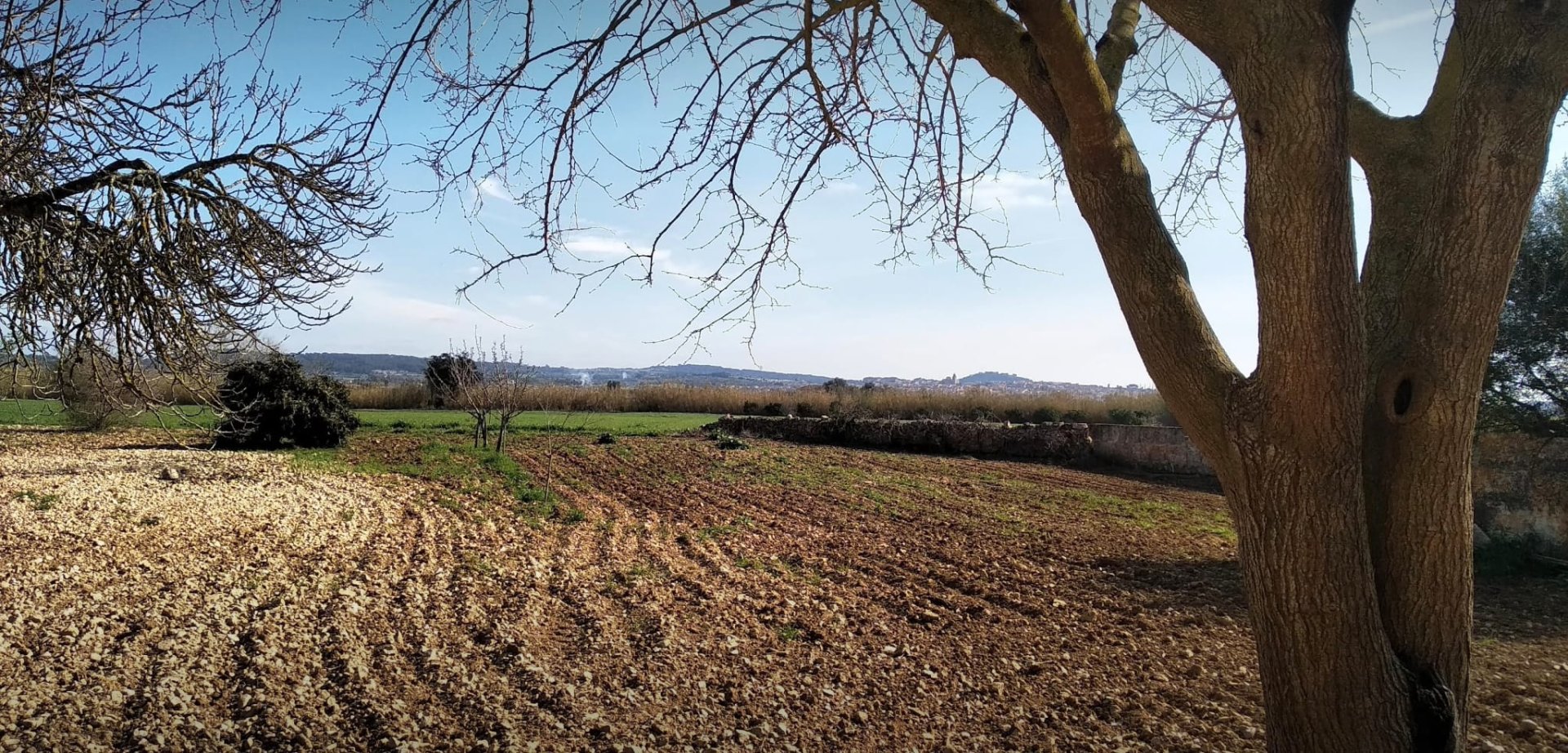 Finca in Algaida, Mallorca, Spanien 2 Schlafzimmer, 997 m2 Nr. 168904