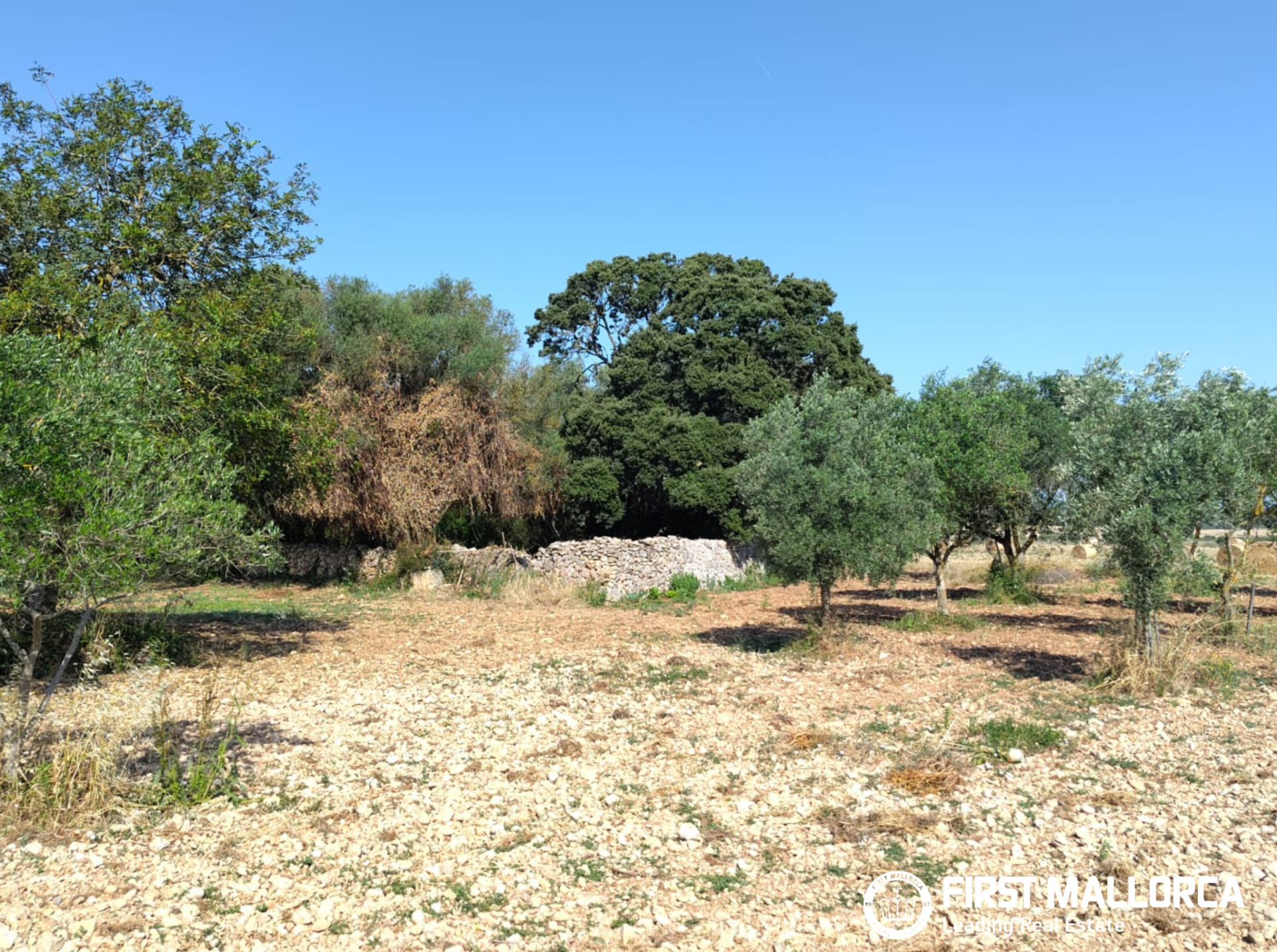 Finca in Algaida, Mallorca, Spanien 2 Schlafzimmer, 997 m2 Nr. 168904