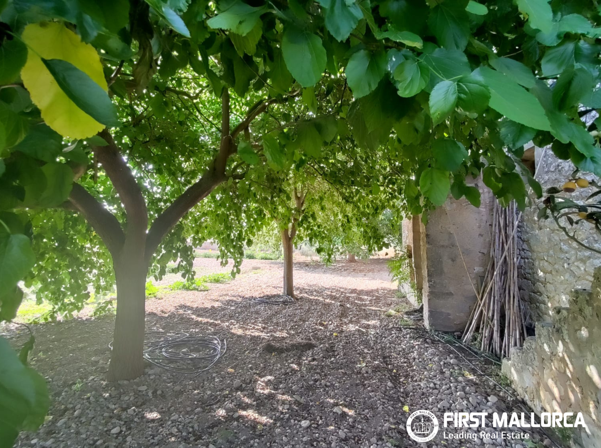 Finca in Algaida, Mallorca, Spanien 2 Schlafzimmer, 997 m2 Nr. 168904