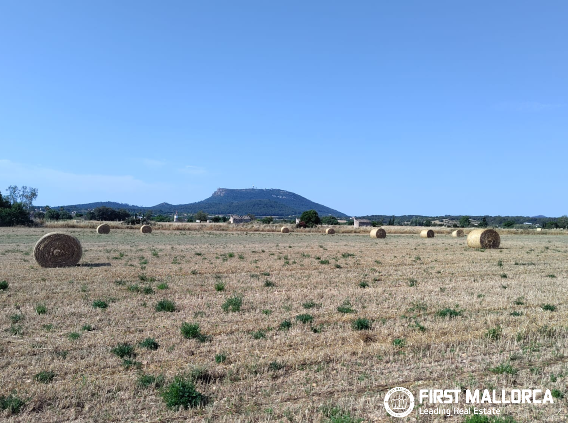 Finca in Algaida, Mallorca, Spanien 2 Schlafzimmer, 997 m2 Nr. 168904