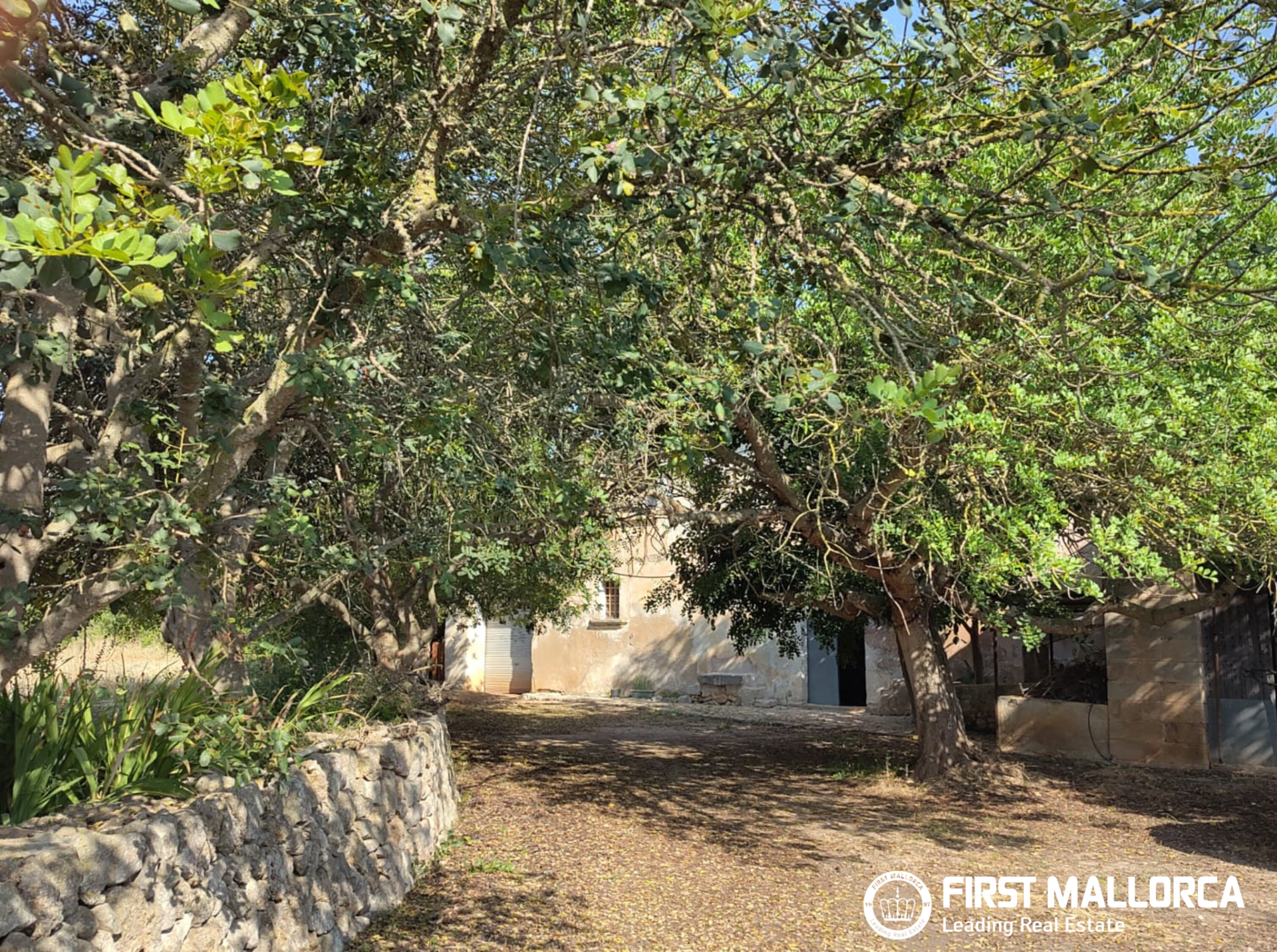 Finca in Algaida, Mallorca, Spanien 2 Schlafzimmer, 997 m2 Nr. 168904