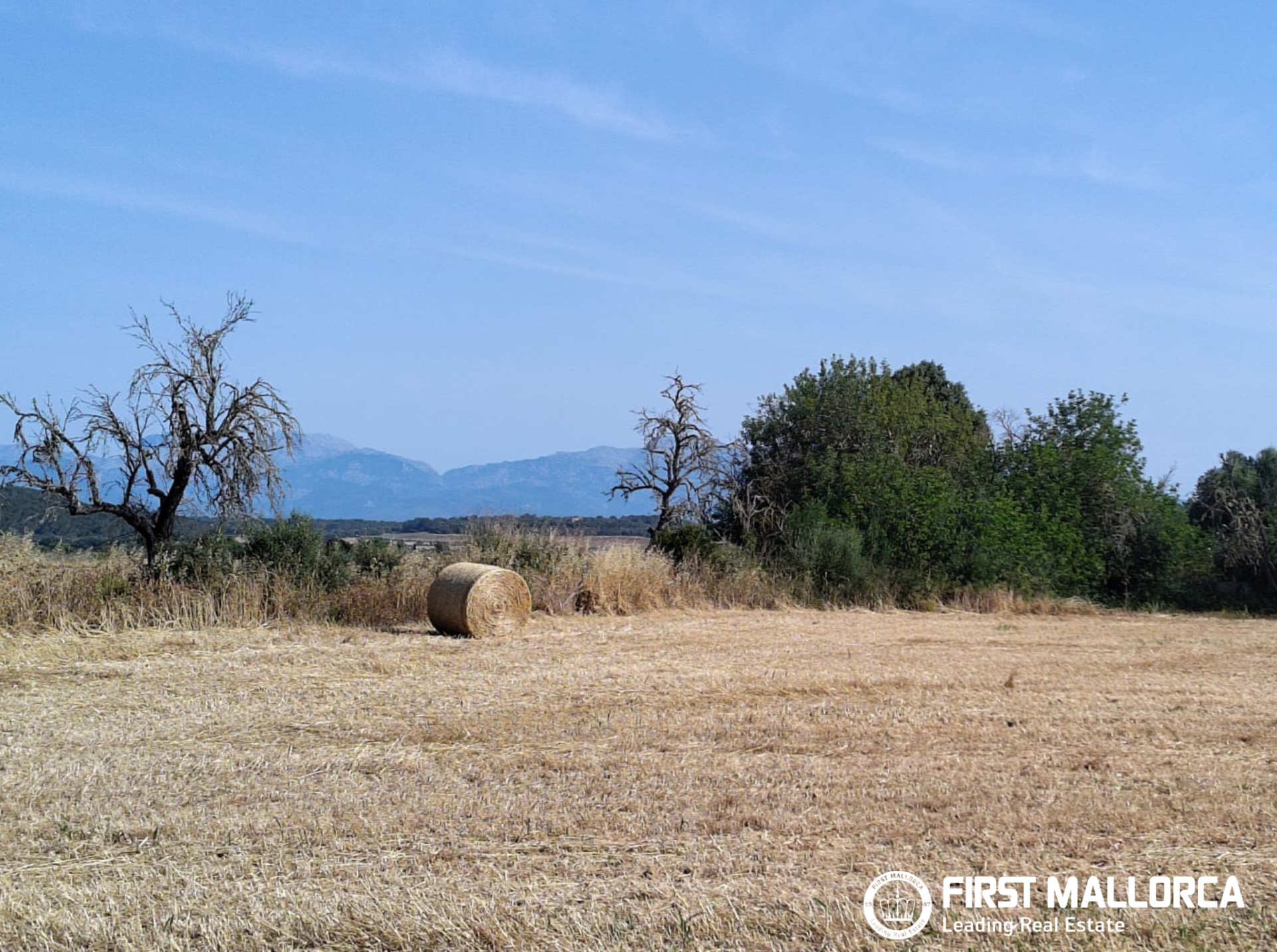 Finca in Algaida, Mallorca, Spanien 2 Schlafzimmer, 997 m2 Nr. 168904