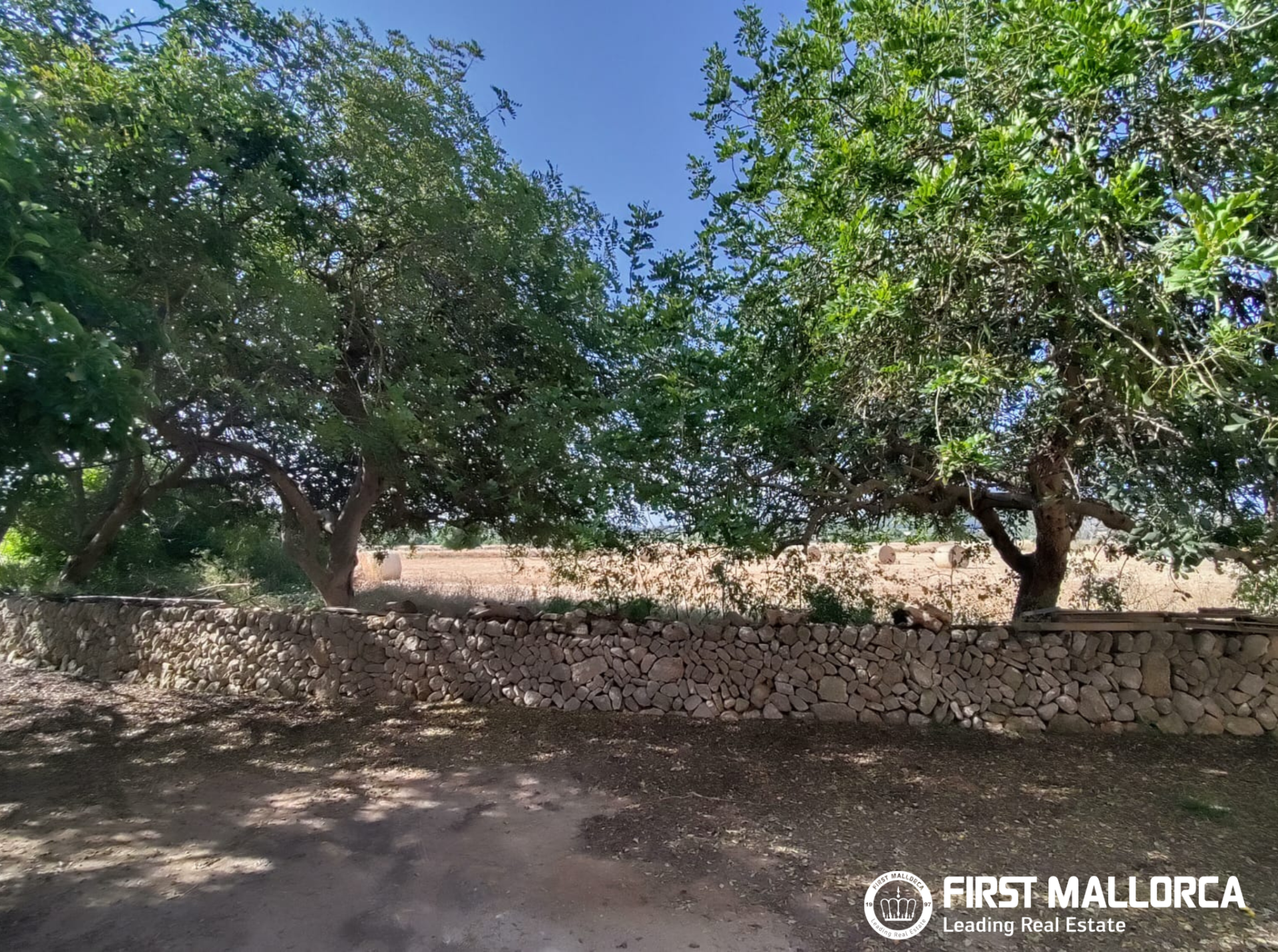 Finca in Algaida, Mallorca, Spanien 2 Schlafzimmer, 997 m2 Nr. 168904