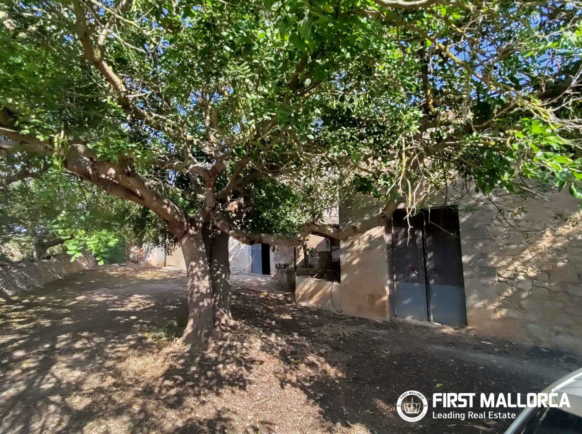 Finca in Algaida, Mallorca, Spanien 2 Schlafzimmer, 997 m2 Nr. 168904