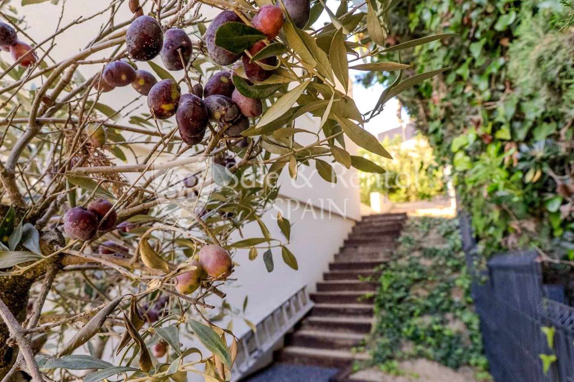 Talo Lloret de Mar, Girona, Espanja 3 makuuhuonetta, 222 m2 No. 168068