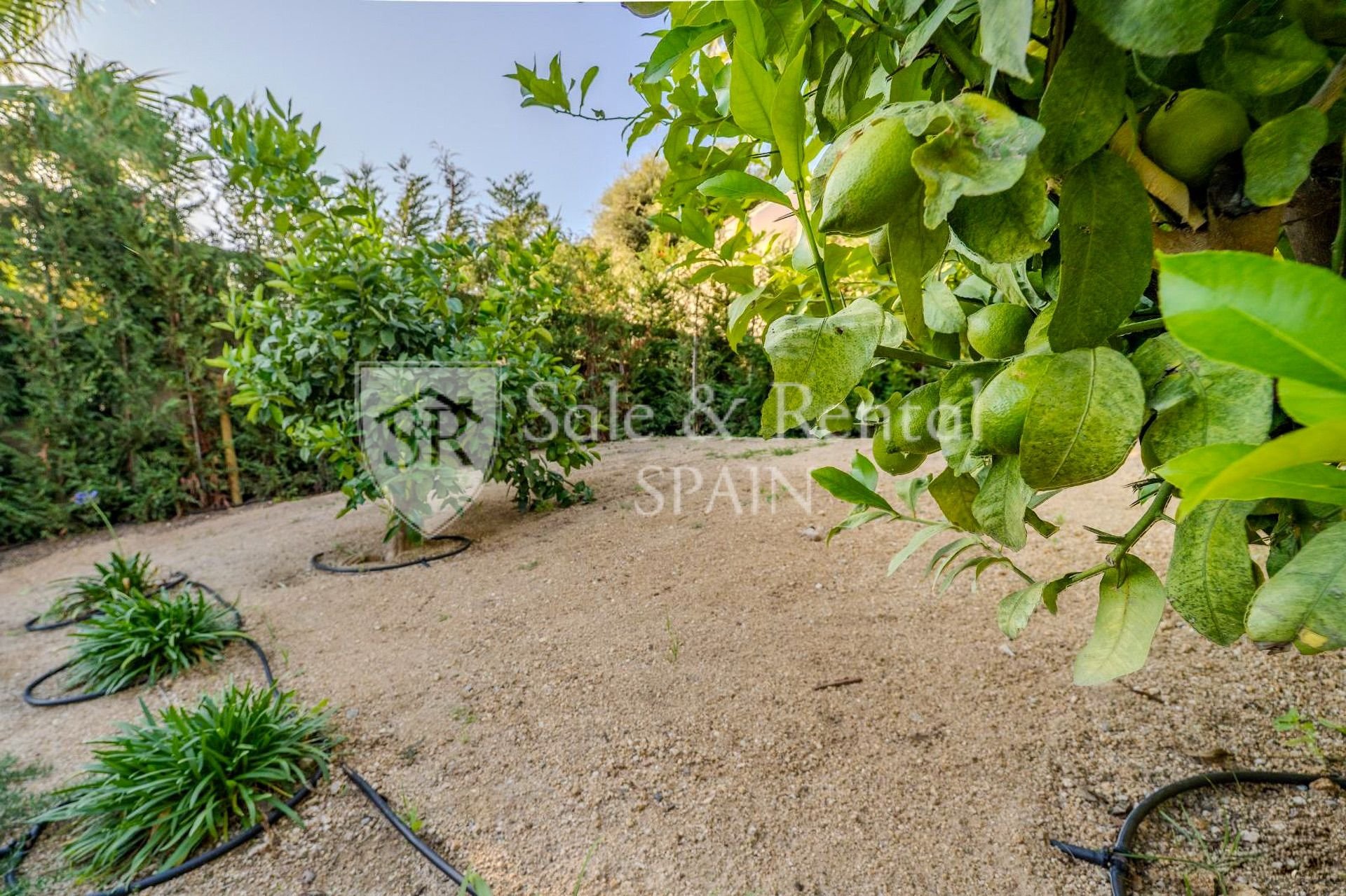 Talo Lloret de Mar, Girona, Espanja 3 makuuhuonetta, 222 m2 No. 168068