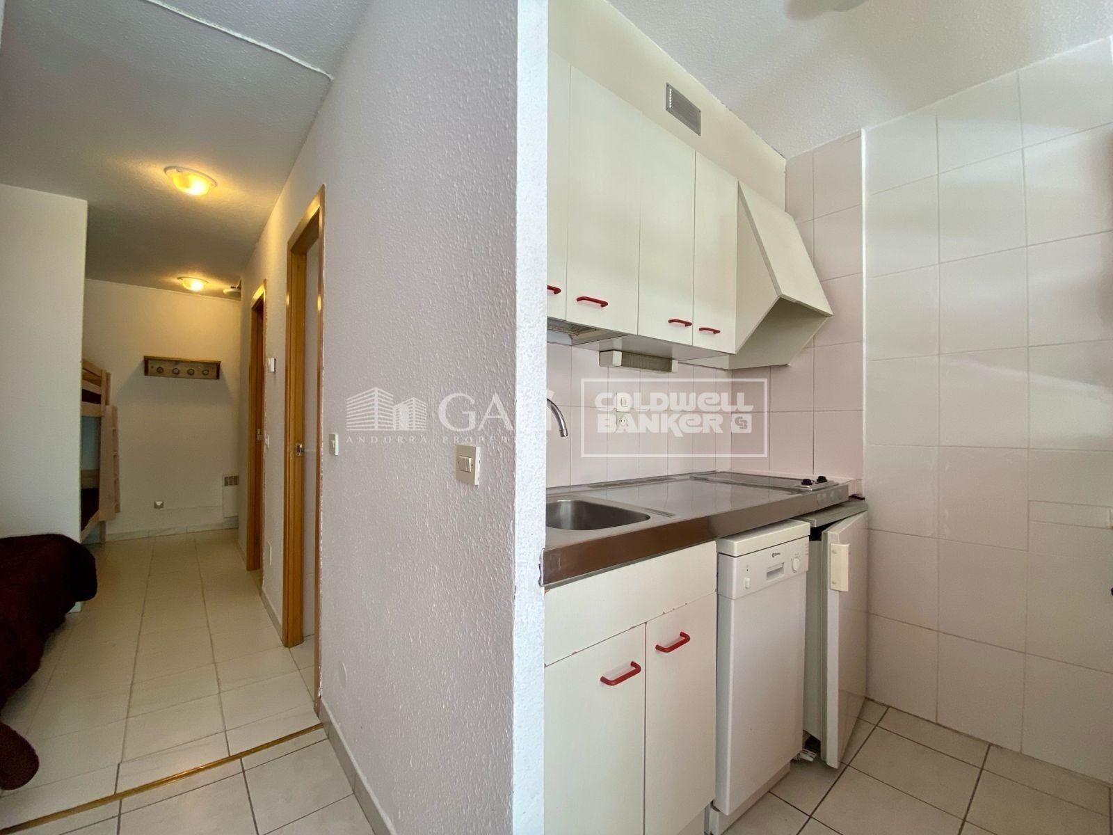 Apartment à Principado De Andorra (Ninguna Poblacion Tiene C.P.), Lleida, Espagne 52 m2 No. 178410