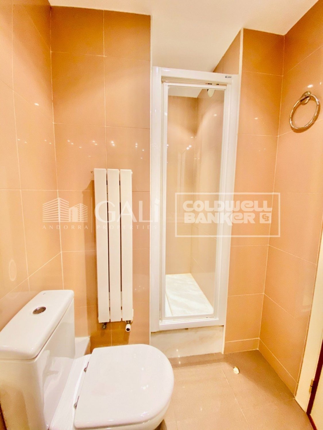 Penthouse à Principado De Andorra (Ninguna Poblacion Tiene C.P.), Lleida, Espagne 4 chambres, 192 m2 No. 178409