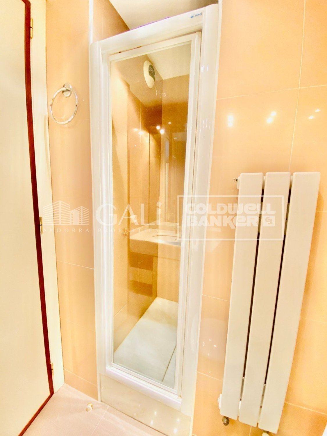 Penthouse à Principado De Andorra (Ninguna Poblacion Tiene C.P.), Lleida, Espagne 4 chambres, 192 m2 No. 178409
