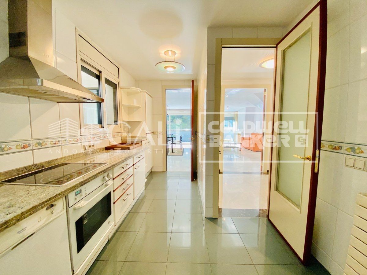 Penthouse à Principado De Andorra (Ninguna Poblacion Tiene C.P.), Lleida, Espagne 4 chambres, 192 m2 No. 178409
