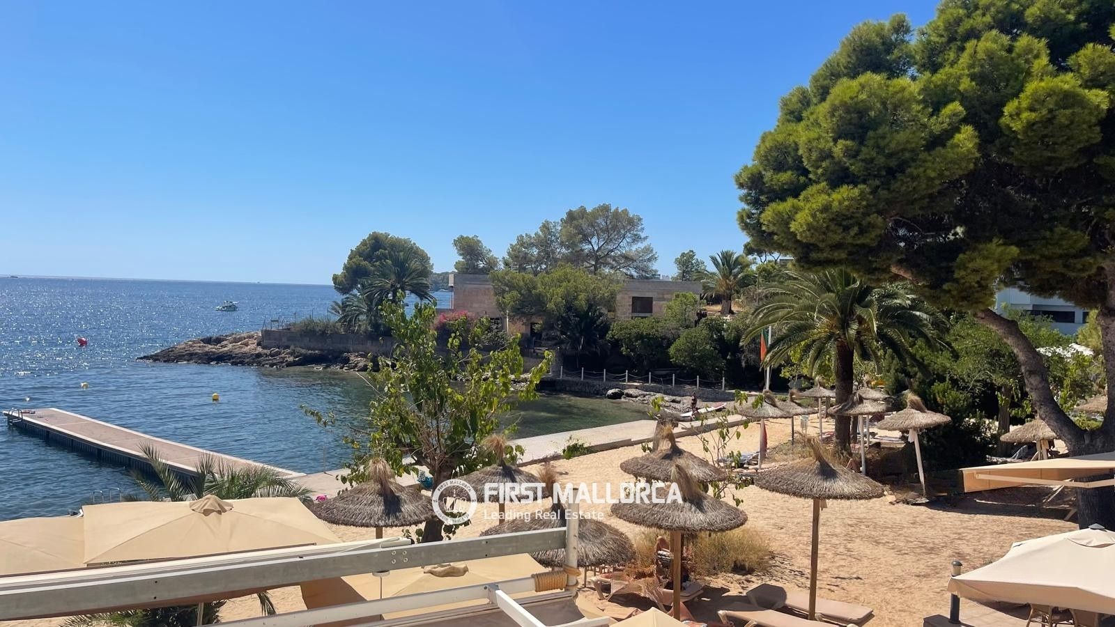 Apartment in Portals Vells, Mallorca, Spain 1 bedroom, 44 sq.m. No. 196752