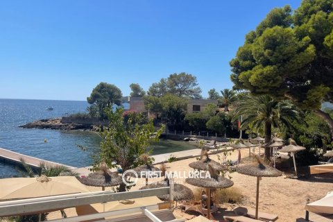 Apartment à Portals Vells, Mallorca, Espagne 1 chambre, 44 m2 No. 196752