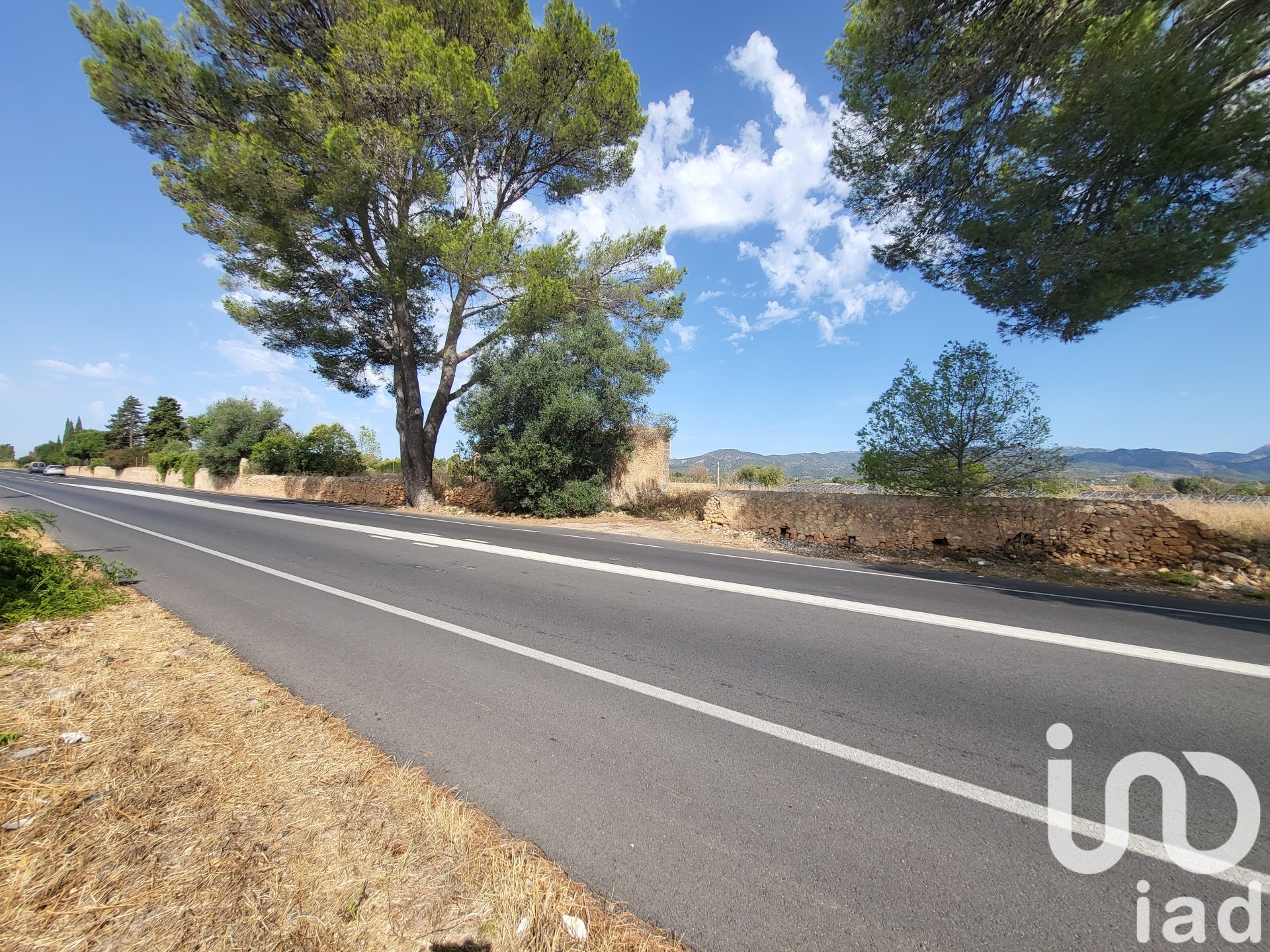 Land in Santa Maria Del Cami, Mallorca, Spanien 19777 m2 Nr. 153254