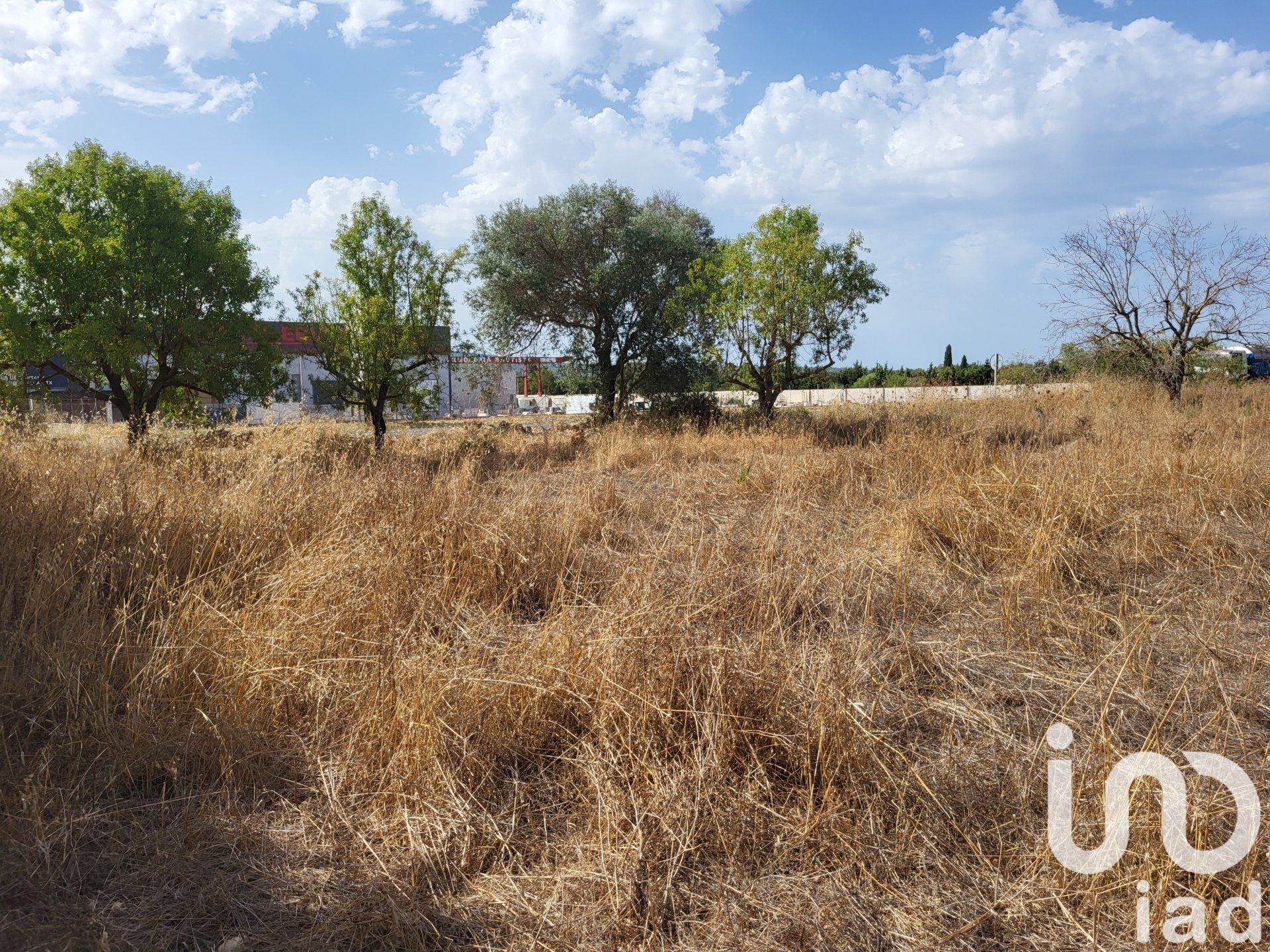 Land in Santa Maria Del Cami, Mallorca, Spanien 19777 m2 Nr. 153254