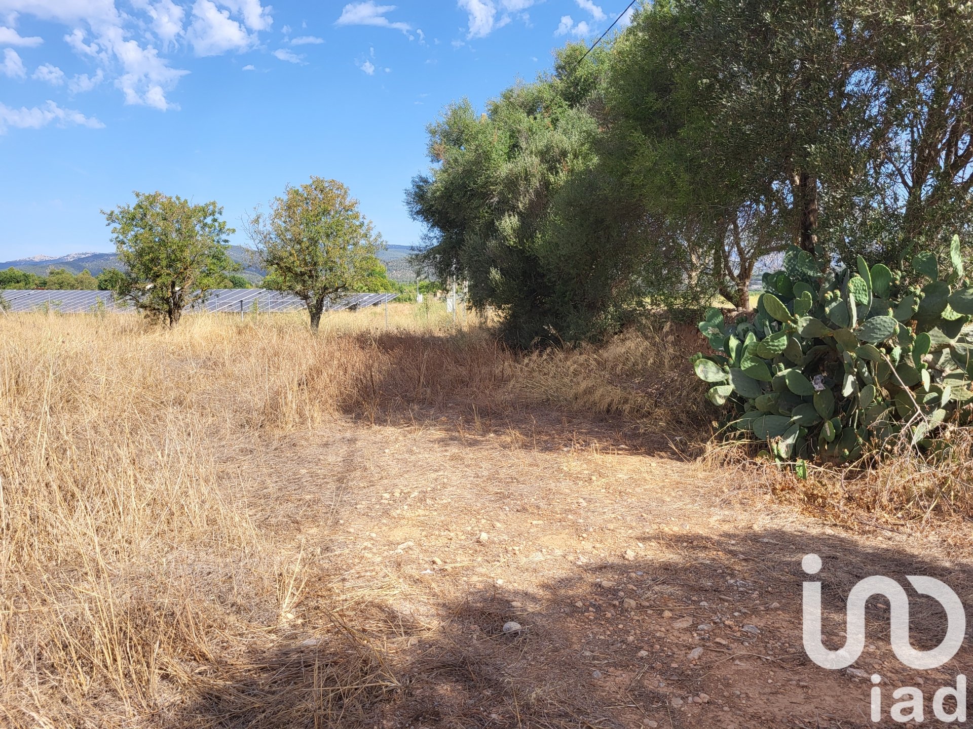 Land in Santa Maria Del Cami, Mallorca, Spanien 19777 m2 Nr. 153254