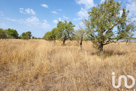 Land plot à Santa Maria Del Cami, Mallorca, Espagne 19777 m2 No. 153254
