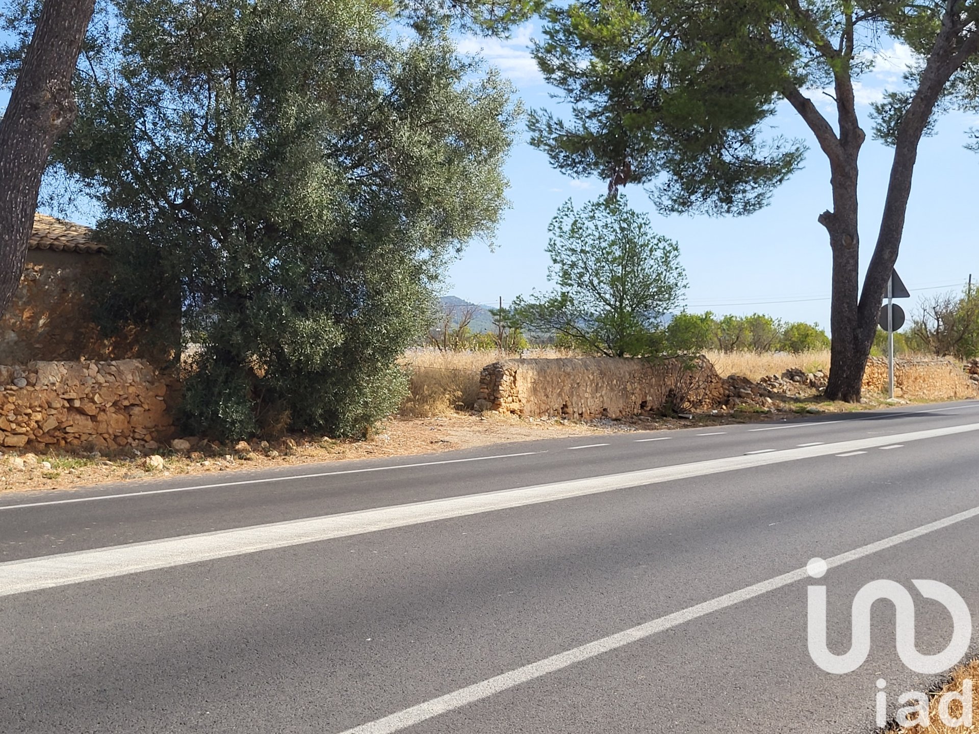 Land in Santa Maria Del Cami, Mallorca, Spanien 19777 m2 Nr. 153254