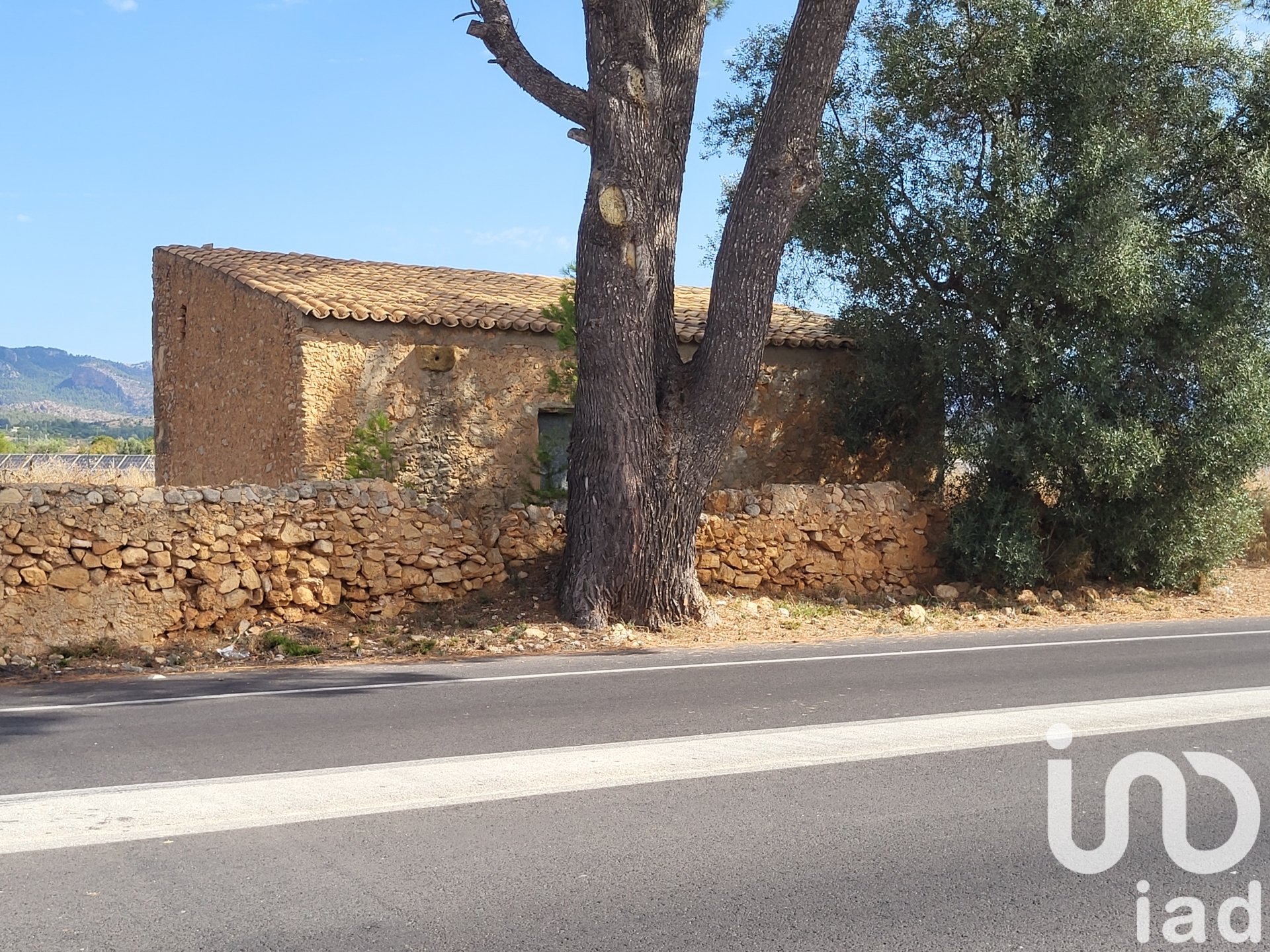 Land in Santa Maria Del Cami, Mallorca, Spanien 19777 m2 Nr. 153254