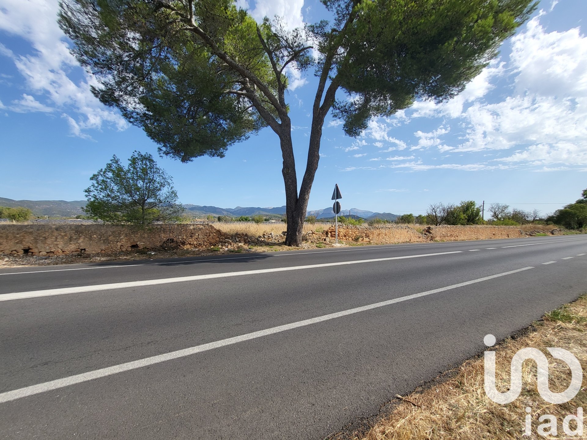 Land in Santa Maria Del Cami, Mallorca, Spanien 19777 m2 Nr. 153254