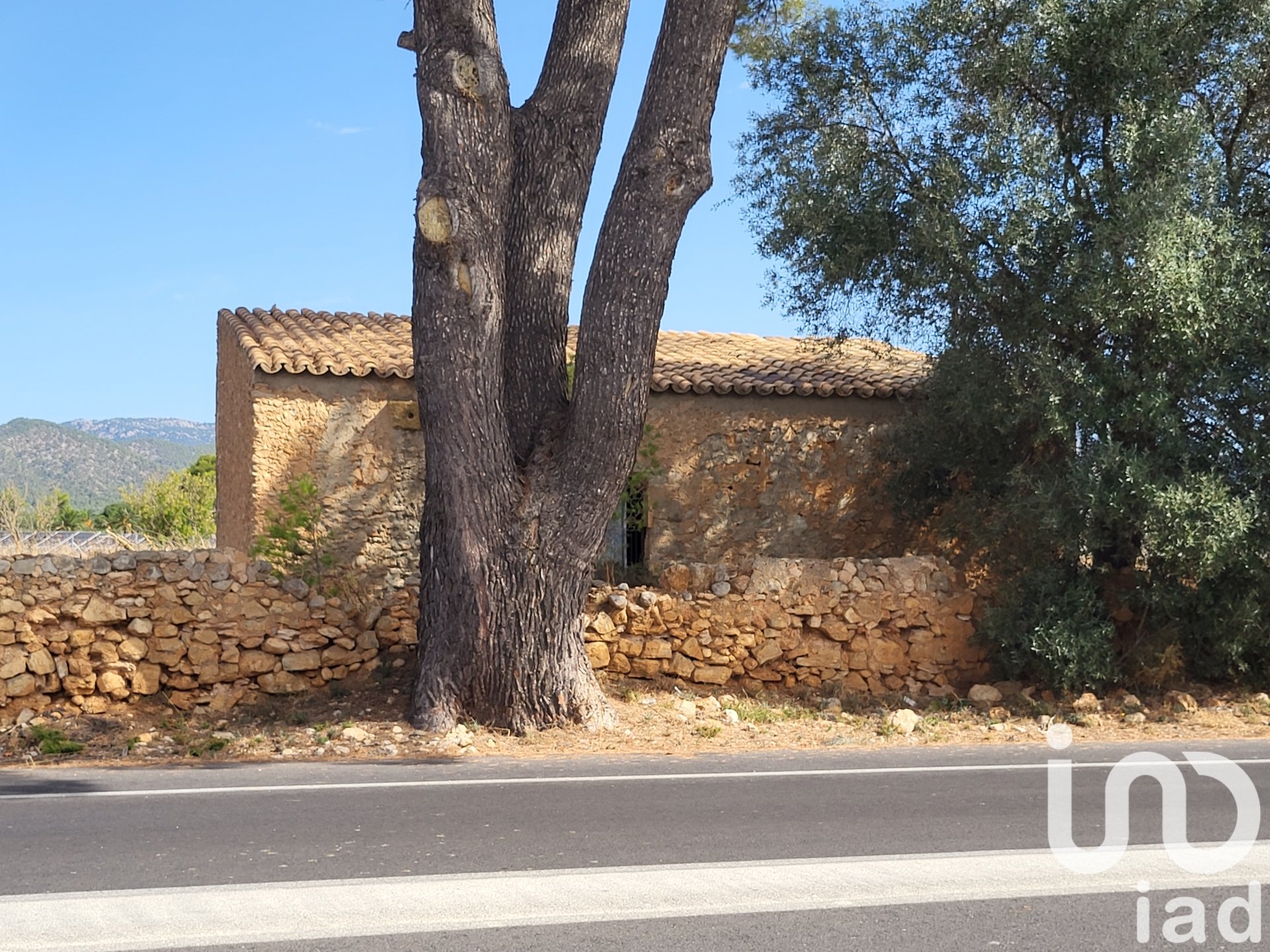 Land in Santa Maria Del Cami, Mallorca, Spanien 19777 m2 Nr. 153254