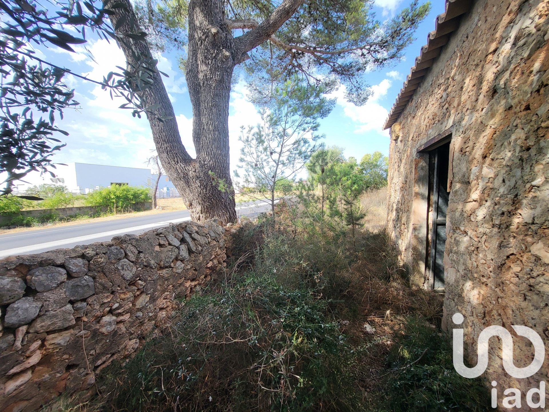 Land in Santa Maria Del Cami, Mallorca, Spanien 19777 m2 Nr. 153254