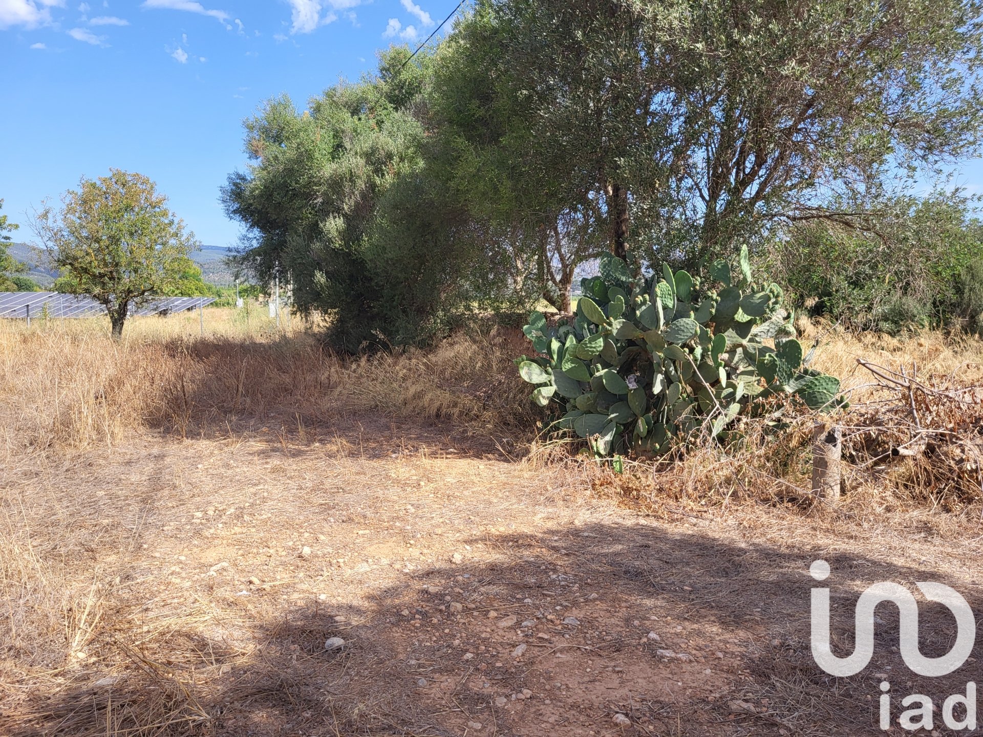 Land in Santa Maria Del Cami, Mallorca, Spanien 19777 m2 Nr. 153254
