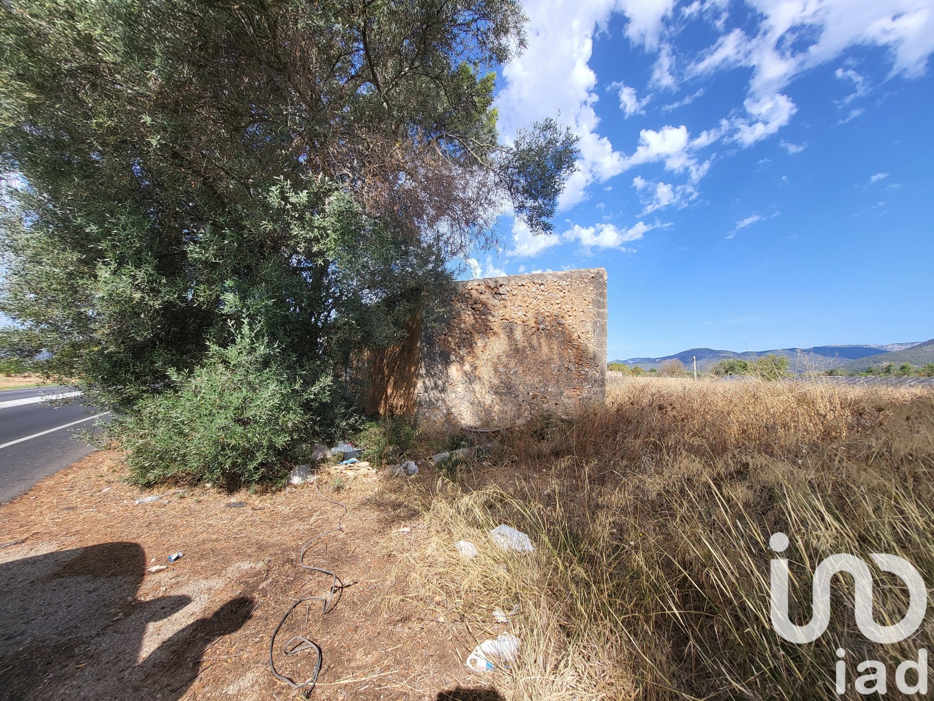 Land in Santa Maria Del Cami, Mallorca, Spanien 19777 m2 Nr. 153254