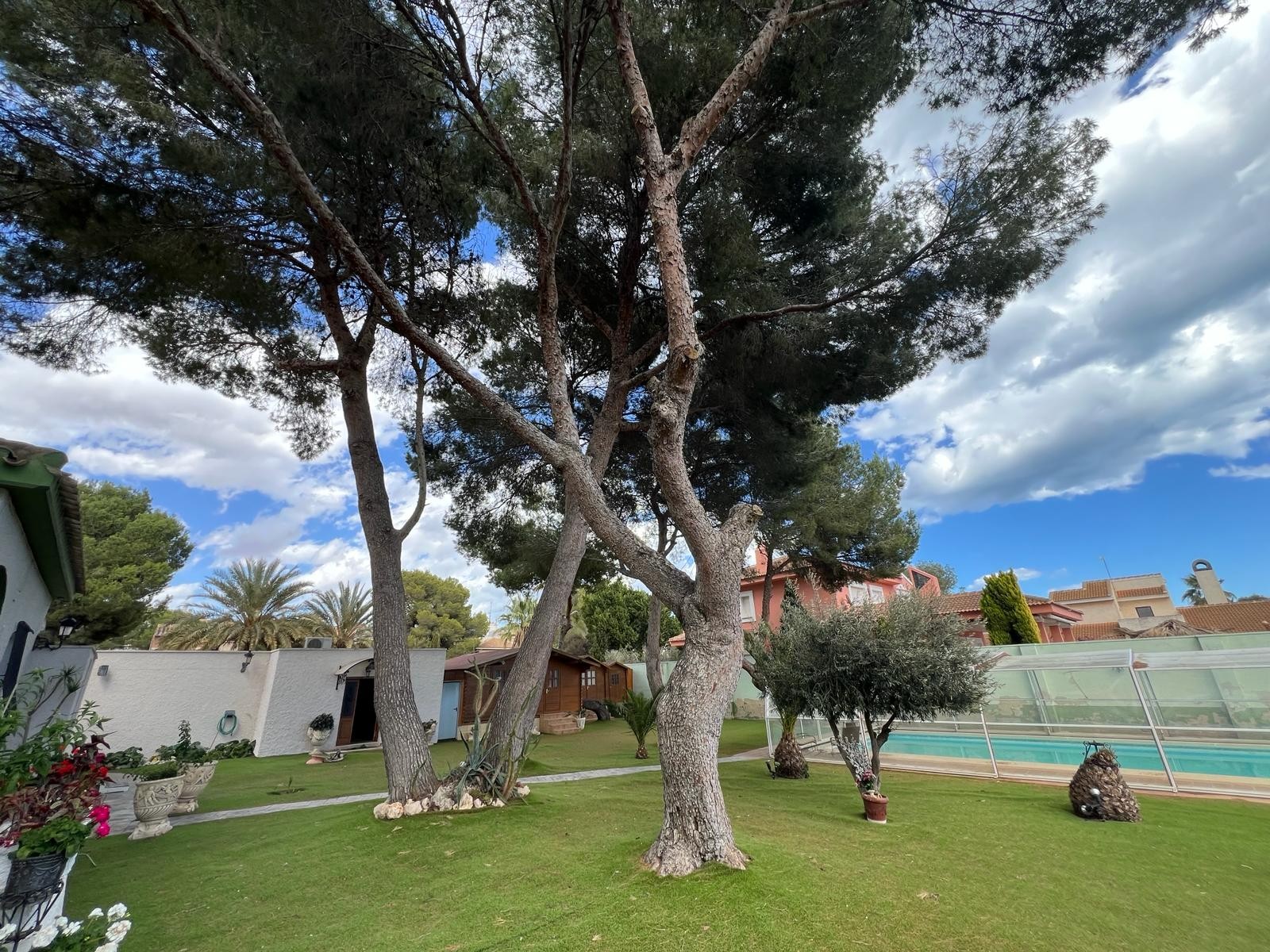 Villa en Dehesa De Campoamor, Alicante, España 3 dormitorios, 250 m2 No. 136908