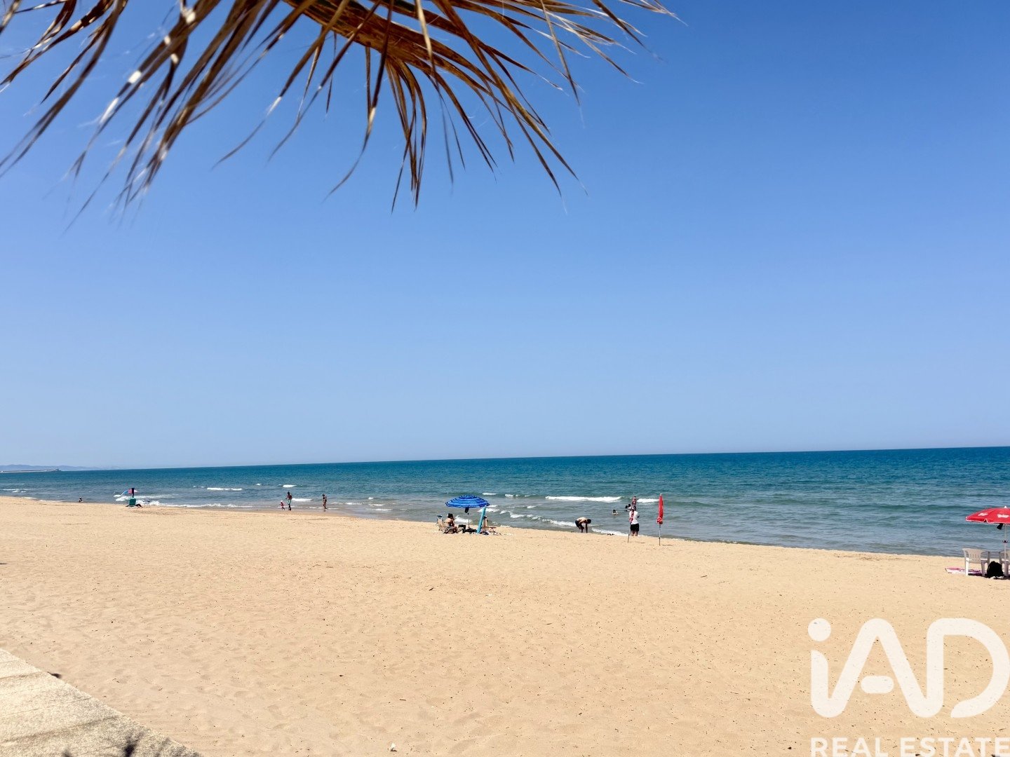Commercial property in Miramar, Valencia, Spain 74 sq.m. No. 188166