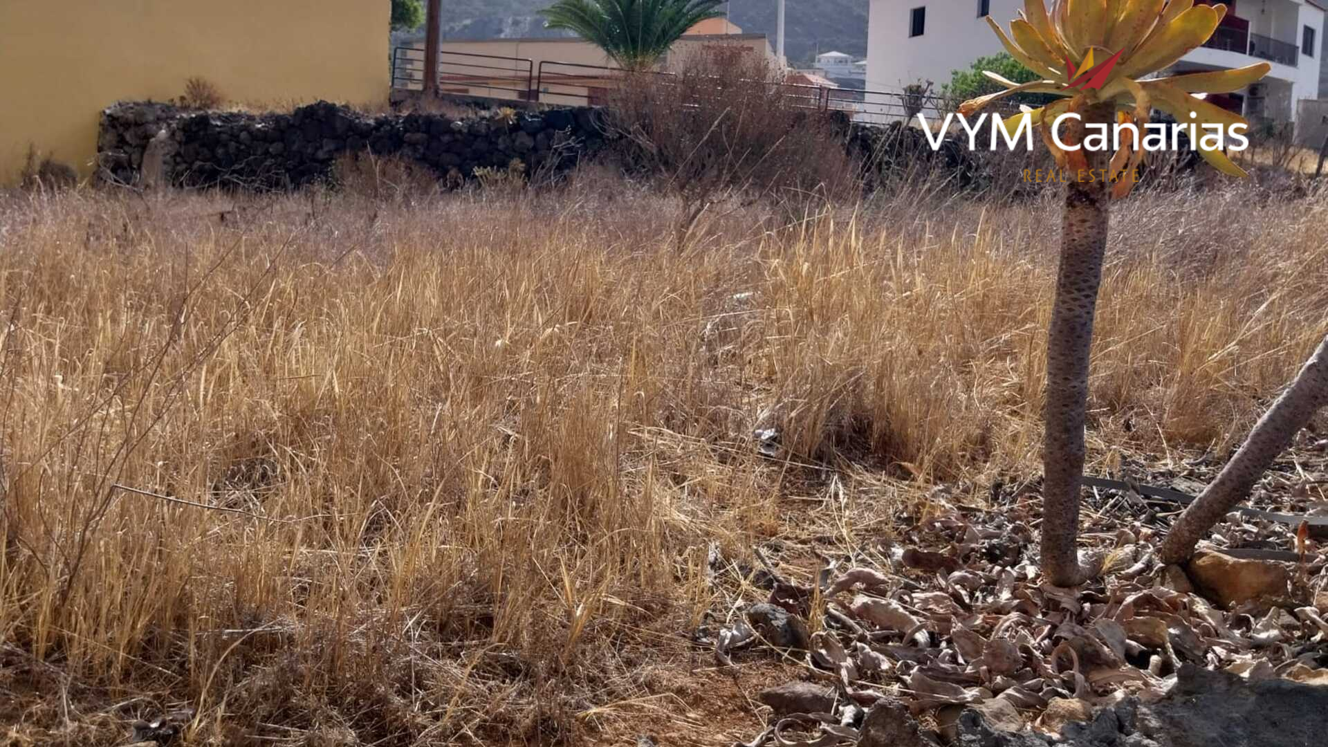 Land plot à Tamaimo, Tenerife, Espagne 608 m2 No. 183672