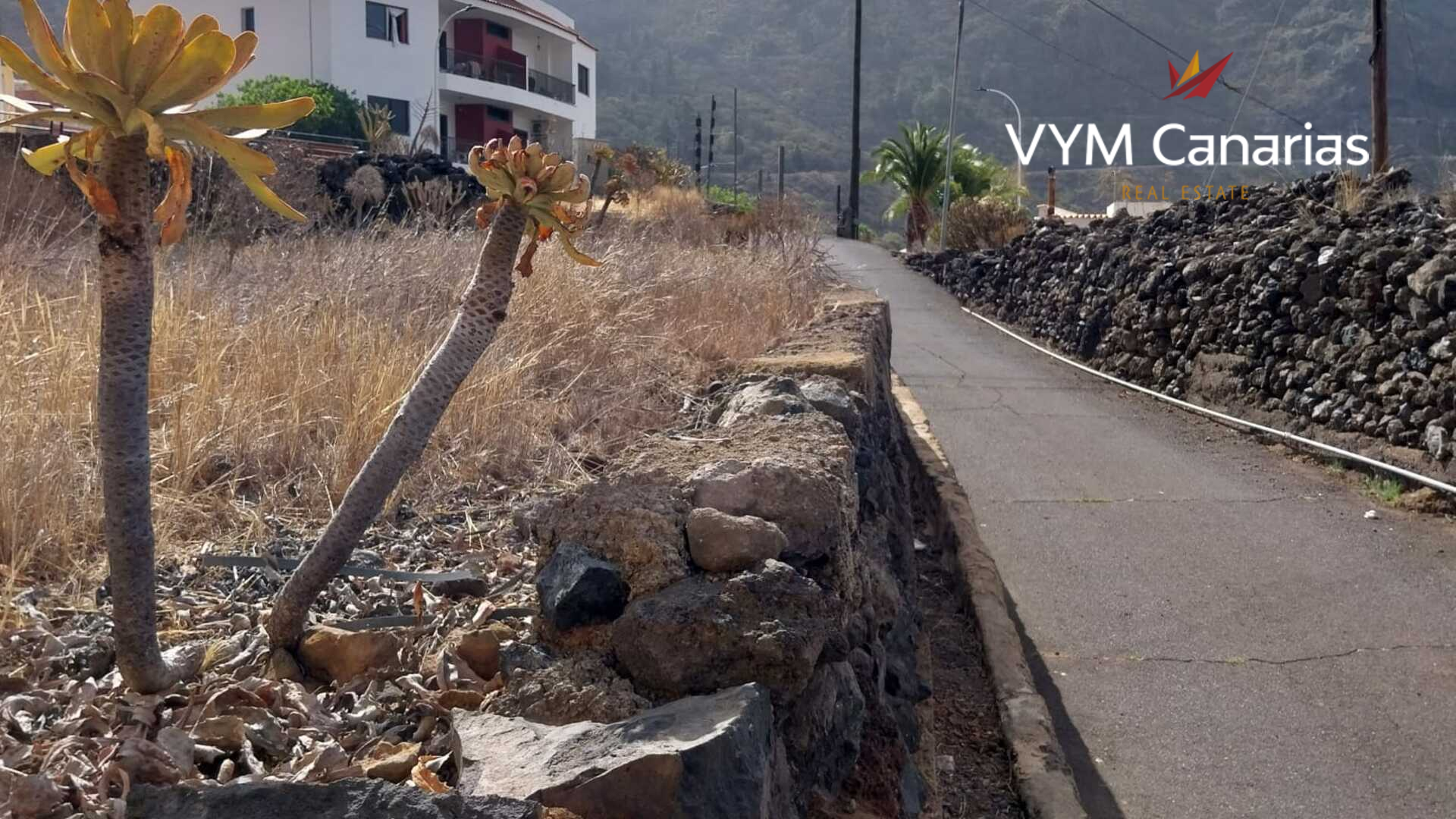 Land plot à Tamaimo, Tenerife, Espagne 608 m2 No. 183672