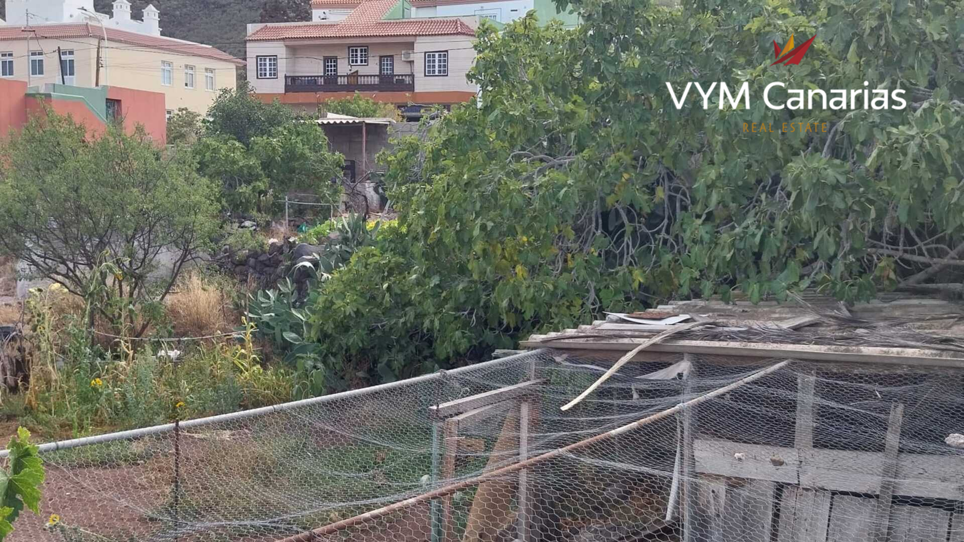Parcela en Tamaimo, Tenerife, España No. 183671