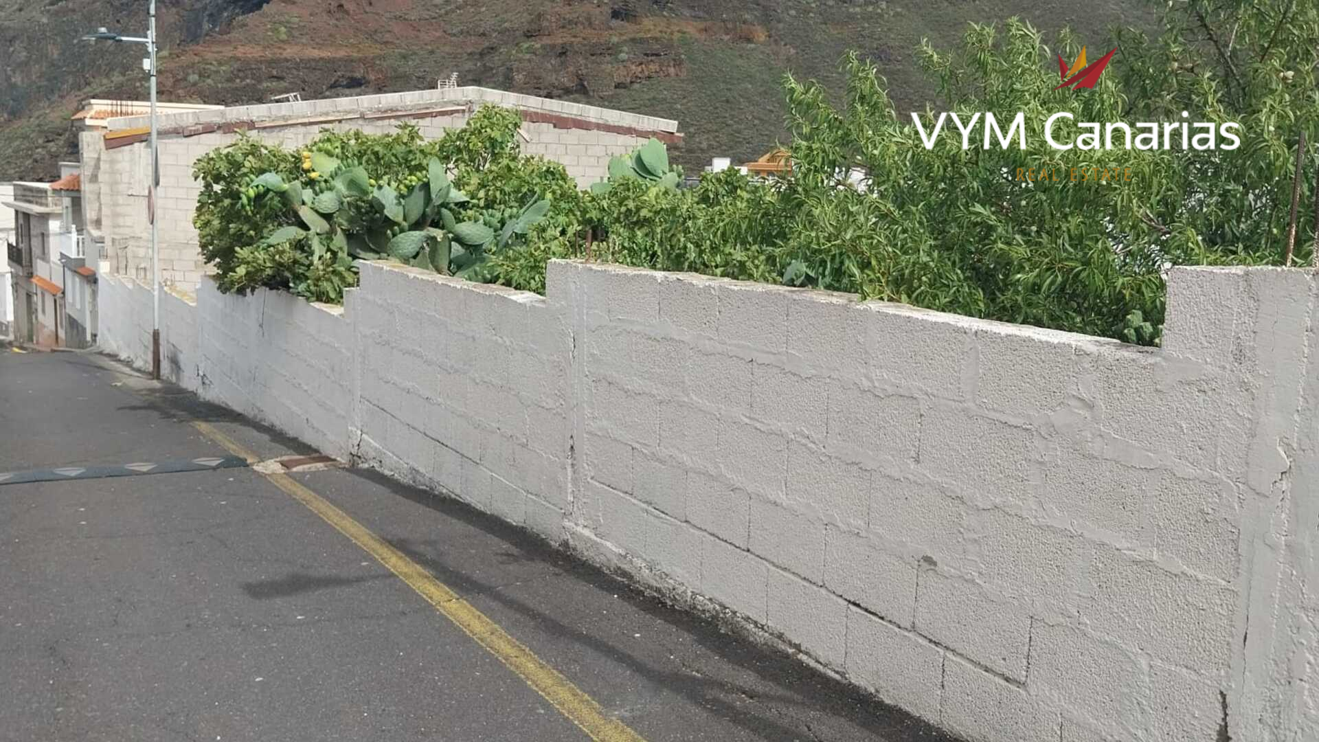 Parcela en Tamaimo, Tenerife, España No. 183671