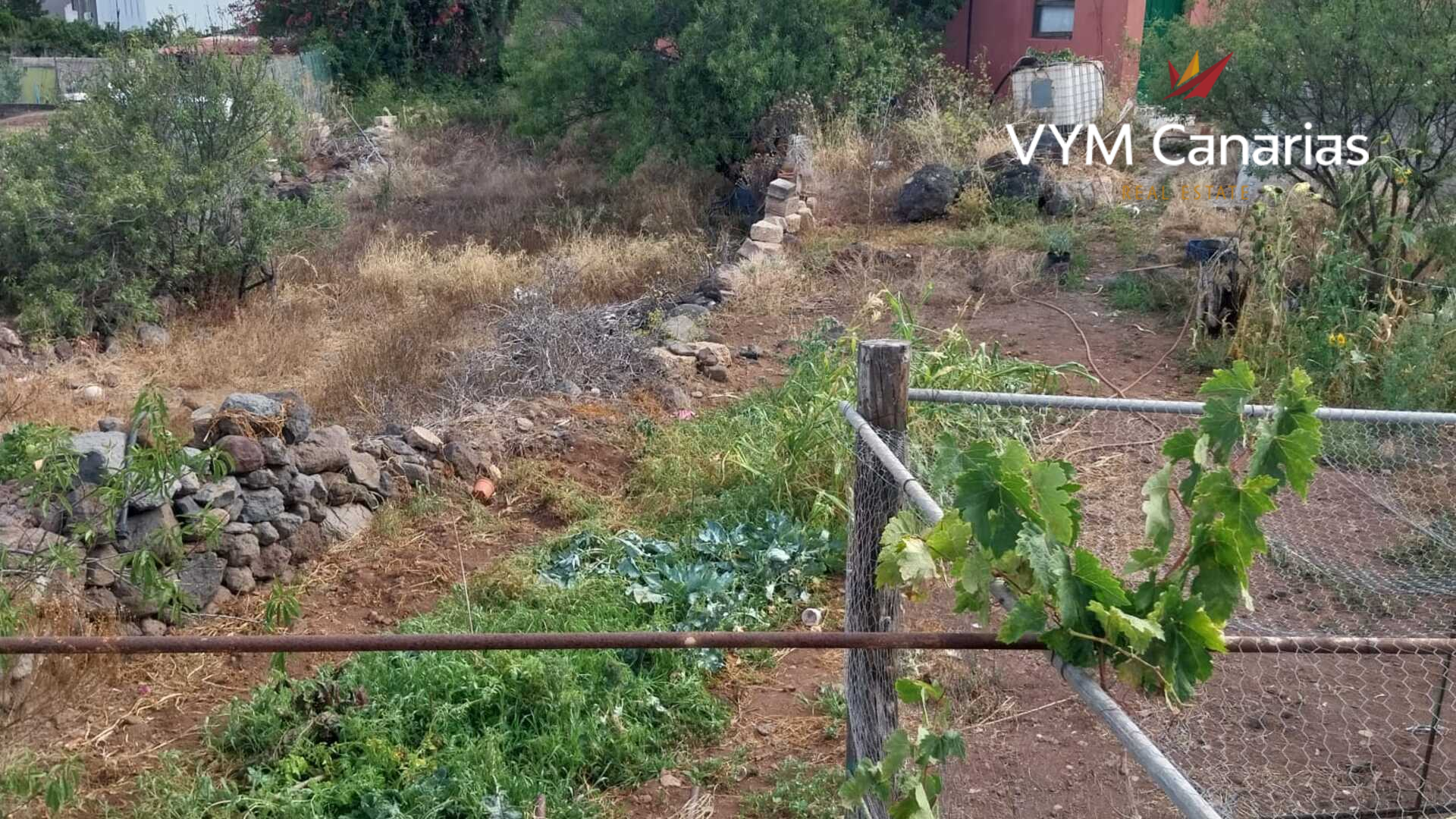 Parcela en Tamaimo, Tenerife, España No. 183671