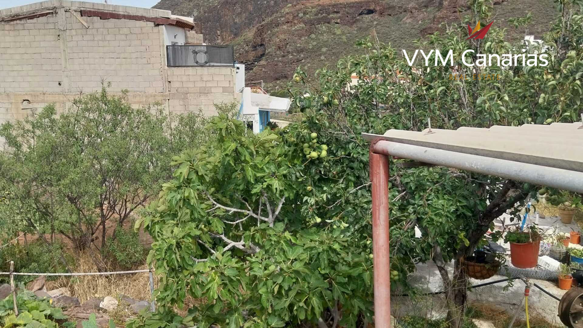 Parcela en Tamaimo, Tenerife, España No. 183671