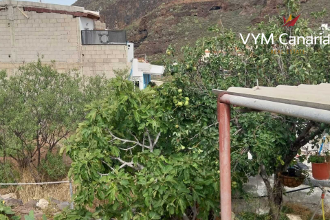 Land plot à Tamaimo, Tenerife, Espagne No. 183671