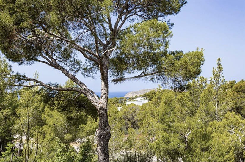 Wohnung in Santa Ponsa, Mallorca, Spanien 3 Schlafzimmer, 322 m2 Nr. 181140
