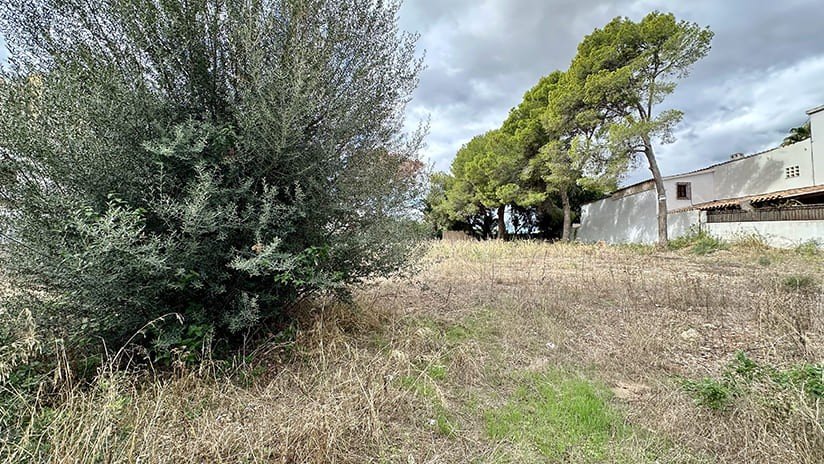 Tomt i Palmanova, Mallorca, Spanien 400 kvm. Nr. 181141