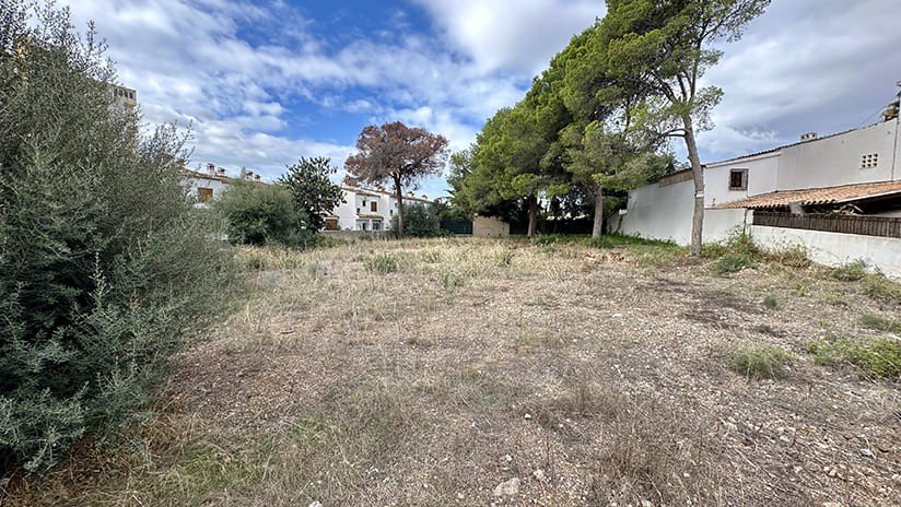 Tomt i Palmanova, Mallorca, Spanien 400 kvm. Nr. 181141