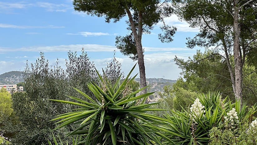 Tomt i Palmanova, Mallorca, Spanien 400 kvm. Nr. 181141