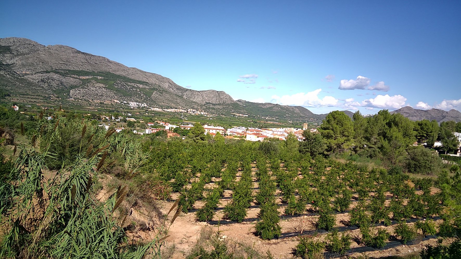 Parcela en Orba, Alicante, España No. 80478