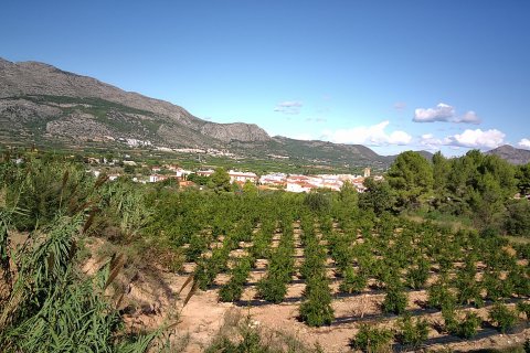 Działka w Orba, Alicante, Hiszpania nr 80478